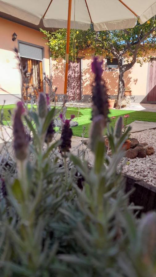 Su Fassoi Cabras Bed & Breakfast Exterior photo