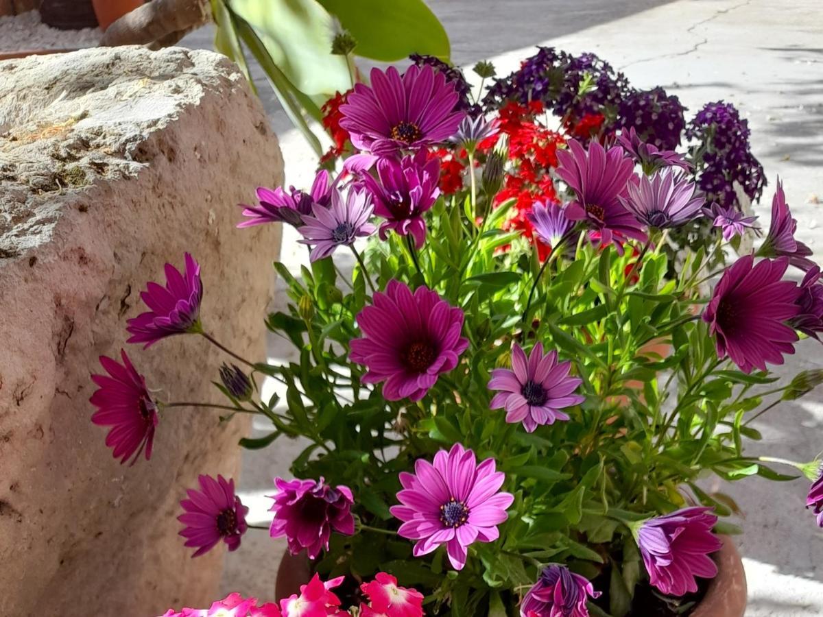 Su Fassoi Cabras Bed & Breakfast Exterior photo
