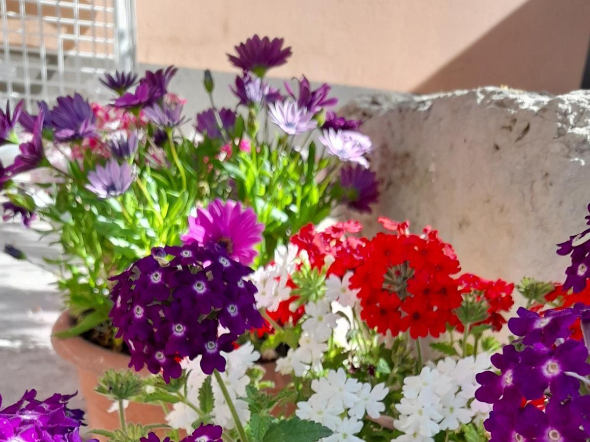 Su Fassoi Cabras Bed & Breakfast Exterior photo