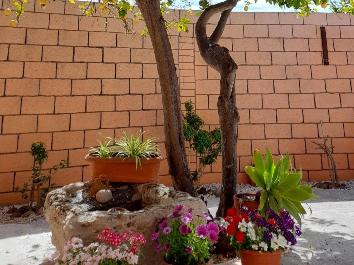 Su Fassoi Cabras Bed & Breakfast Exterior photo